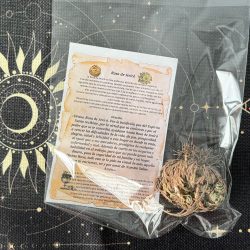 planta rosa de jericó ecomagic con oración y cuidados