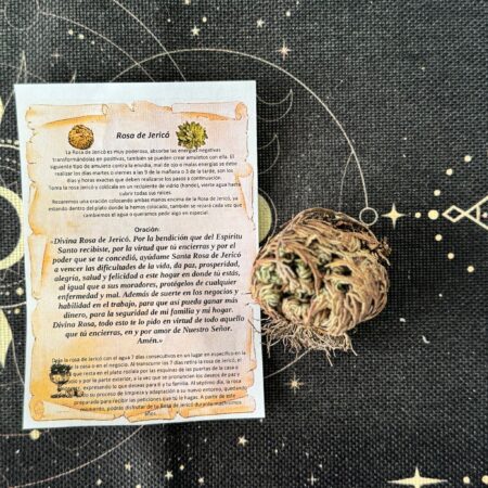 planta rosa de jericó ecomagic con oración y cuidados