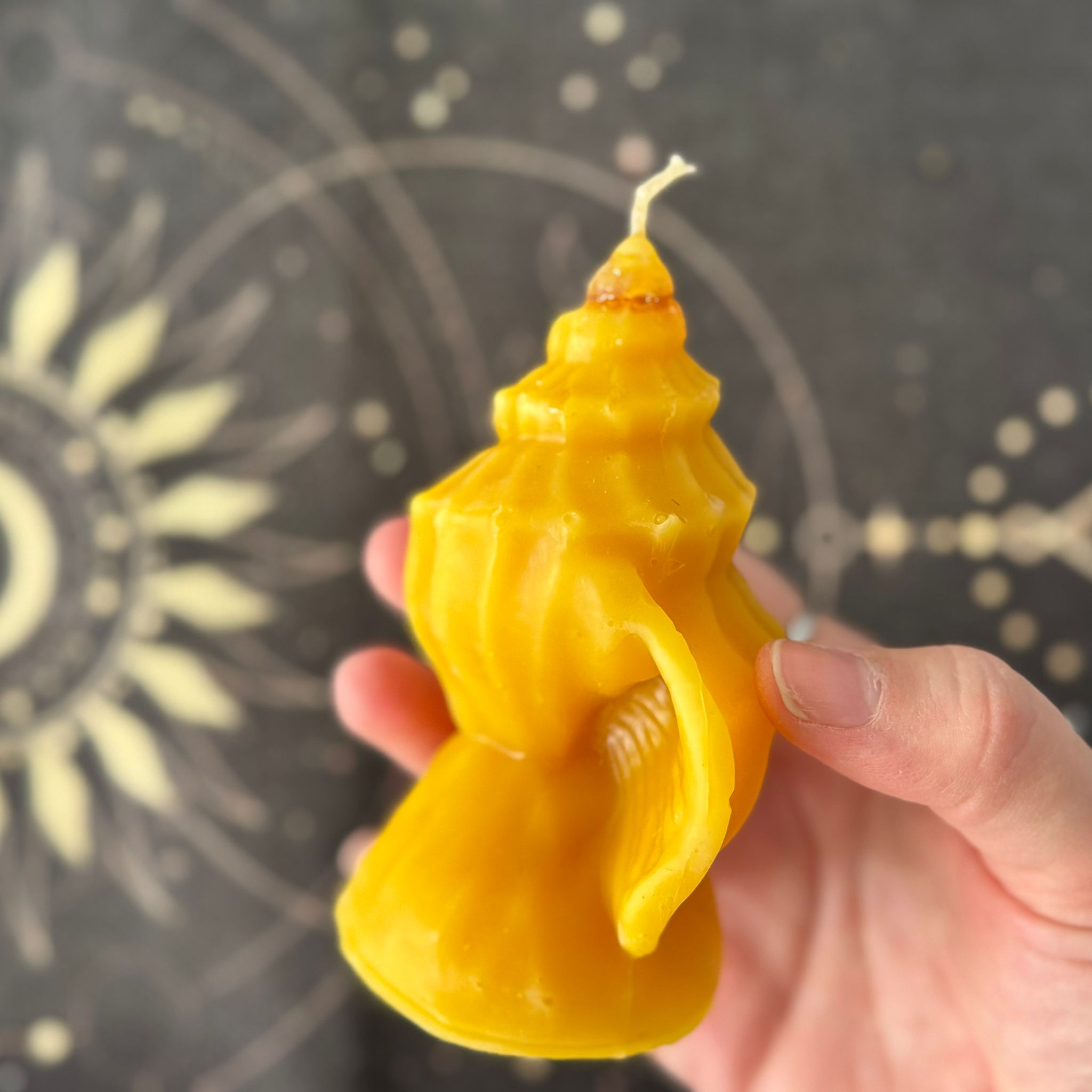 vela de miel para la abundancia de caracola