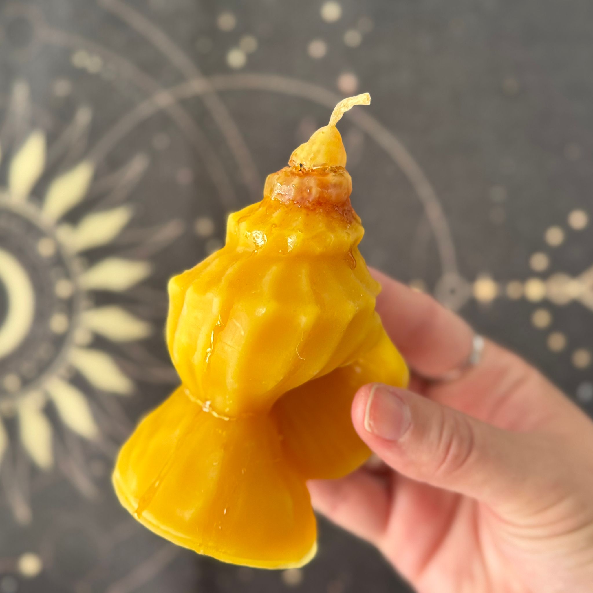 vela de miel para la abundancia de caracola