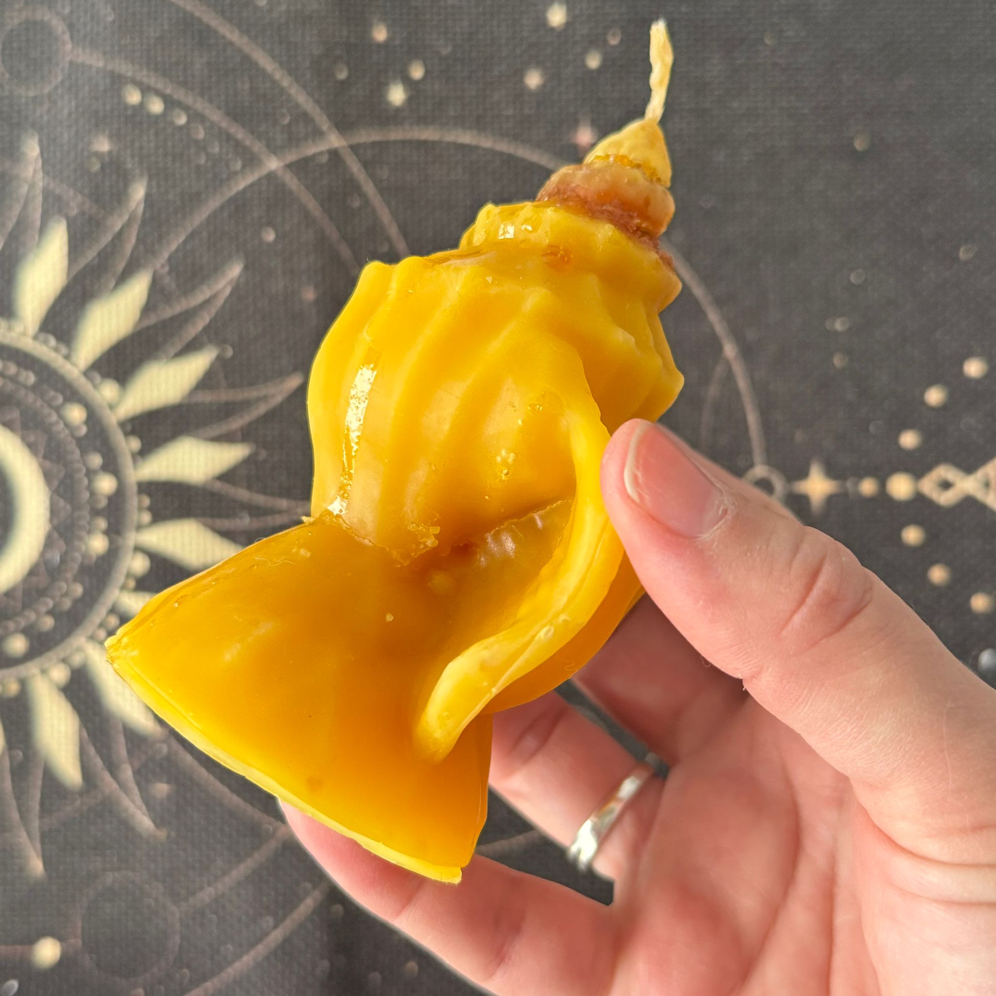 vela de miel para la abundancia de caracola