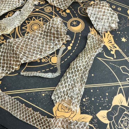 piel de pitón a trozos ecomagic