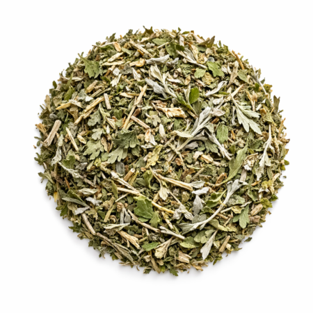 Ajenjo, Yerba maestra (Artemisia absinthium)