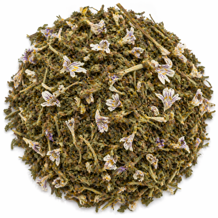 Eufrasia