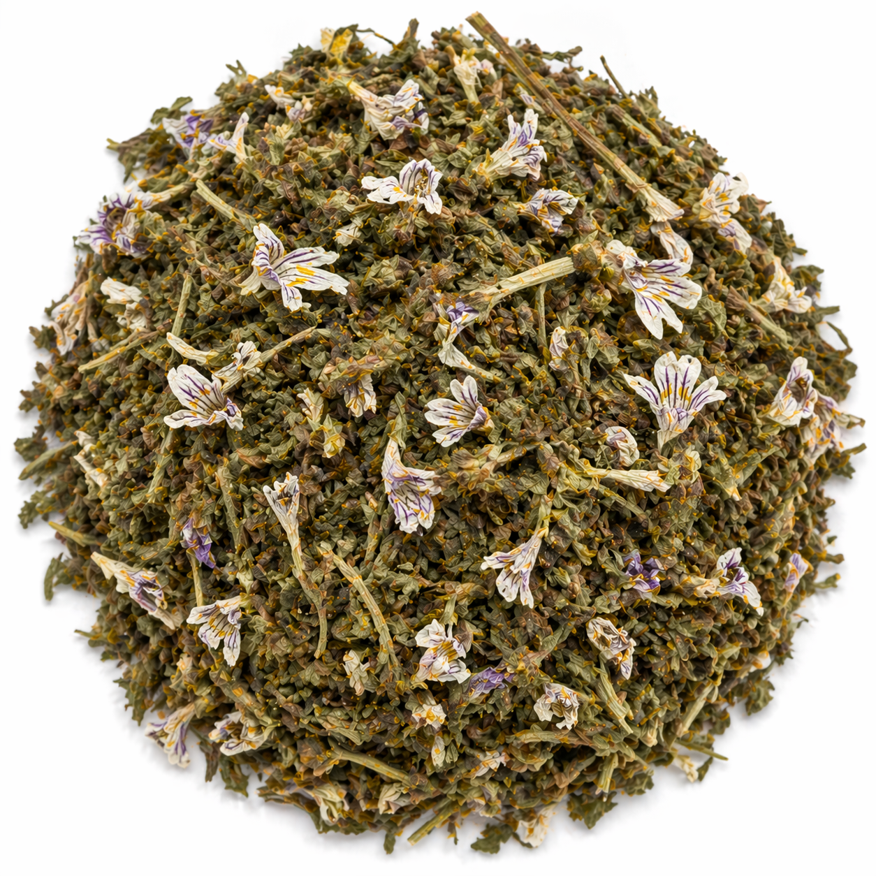 Eufrasia