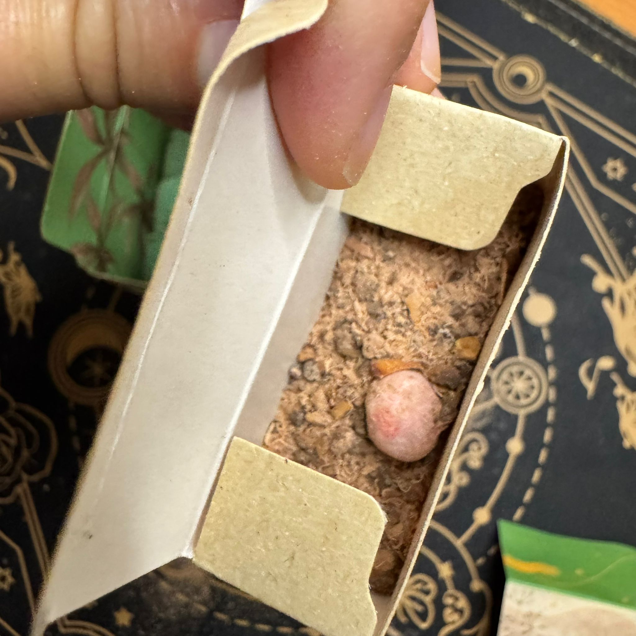 Kit de humito sagrado "Energía Limpia" - Sagrada Madre - Imagen 4