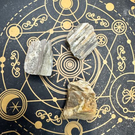 Xilópalo (madera fosilizada) en bruto