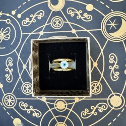 Anillo Portal Protector – Acero inoxidable ajustable